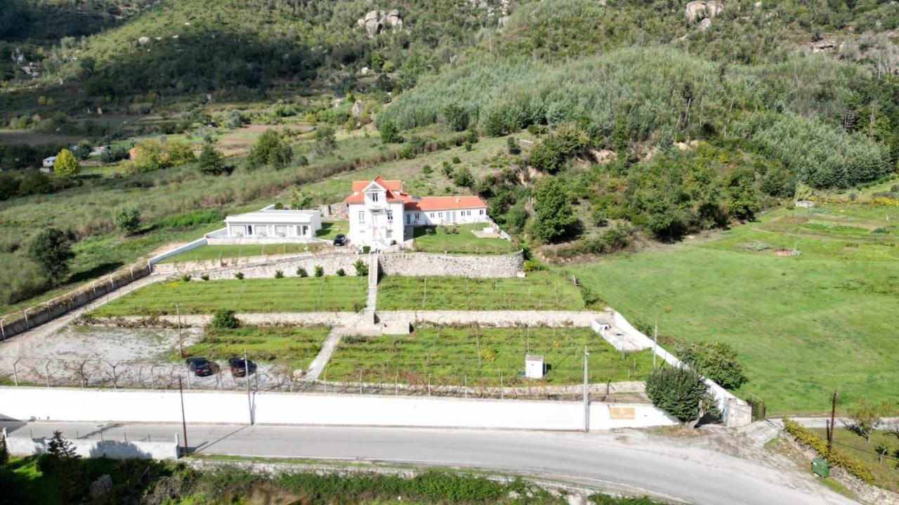 Alzira Seia