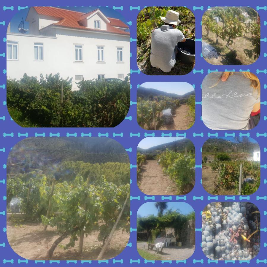 Alzira Farm stay