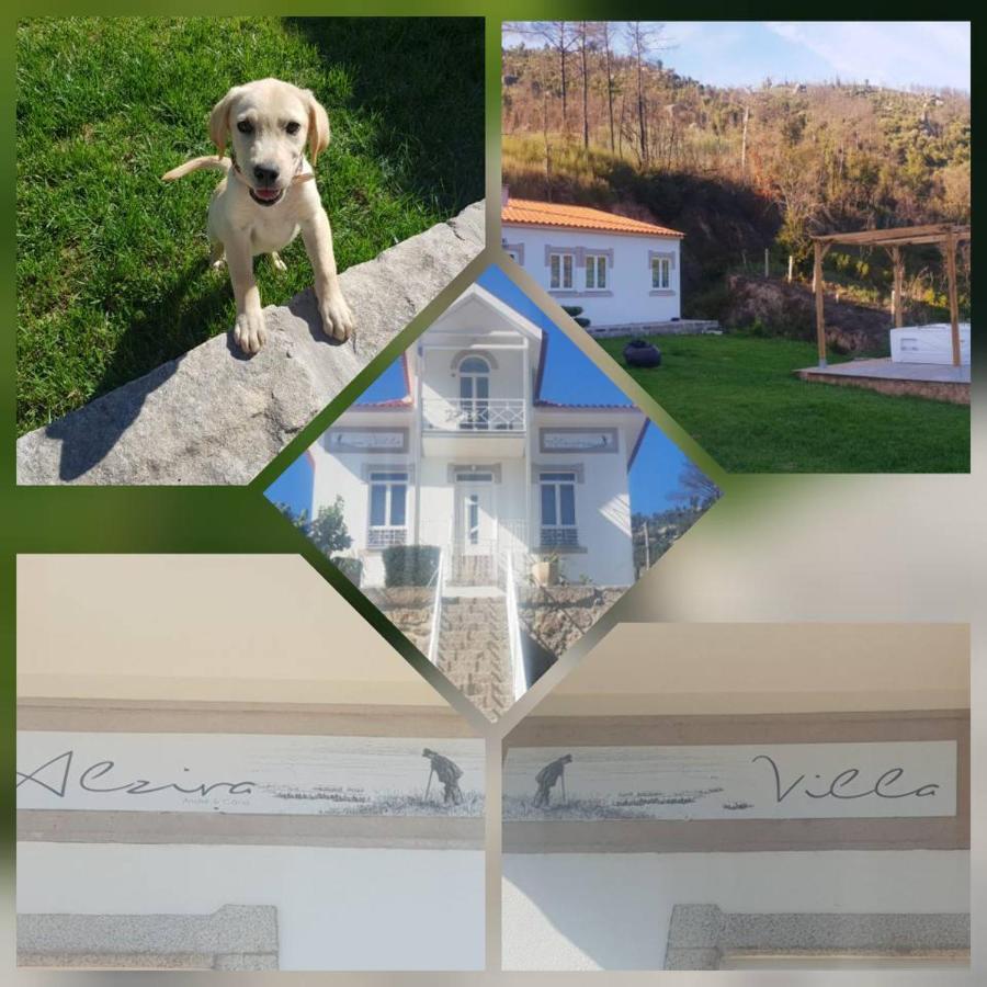 Alzira Farm stay Seia