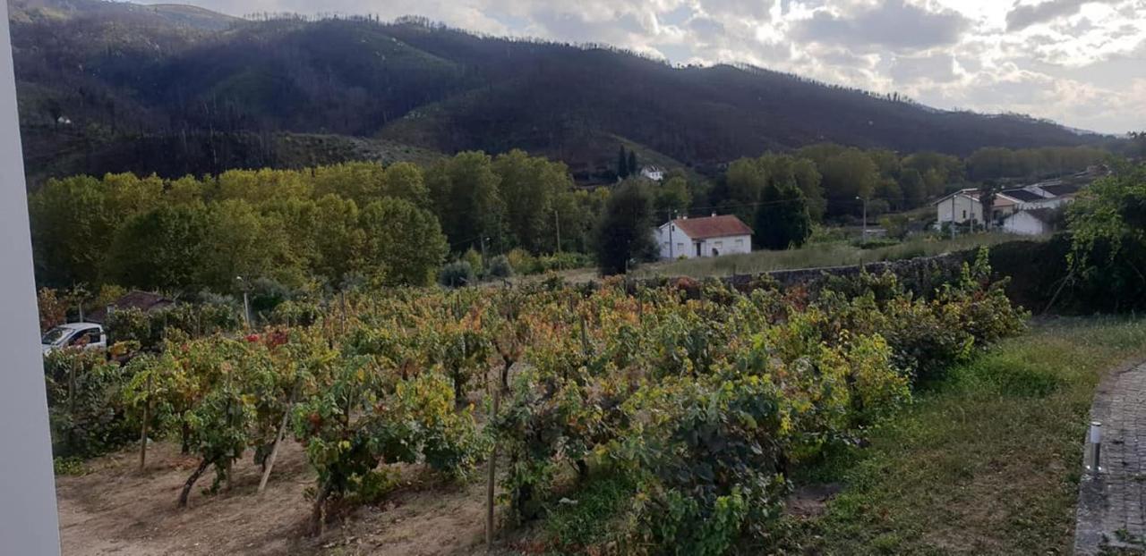 Farm stay Alzira Seia