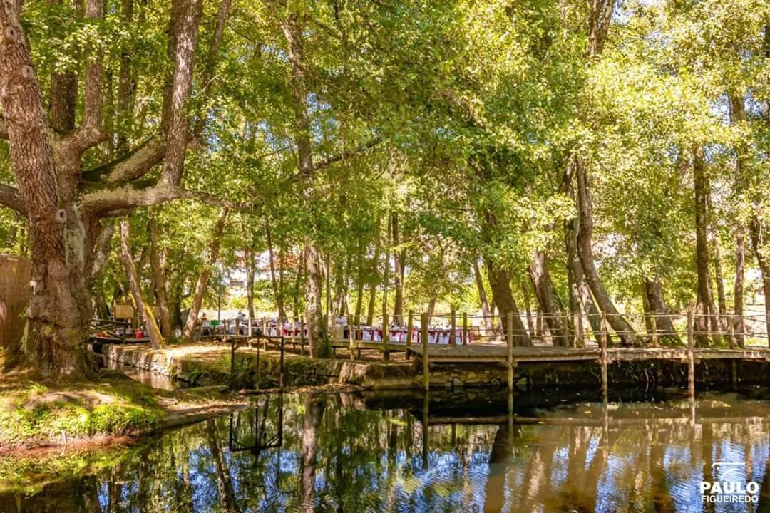 Alzira Farm stay Seia