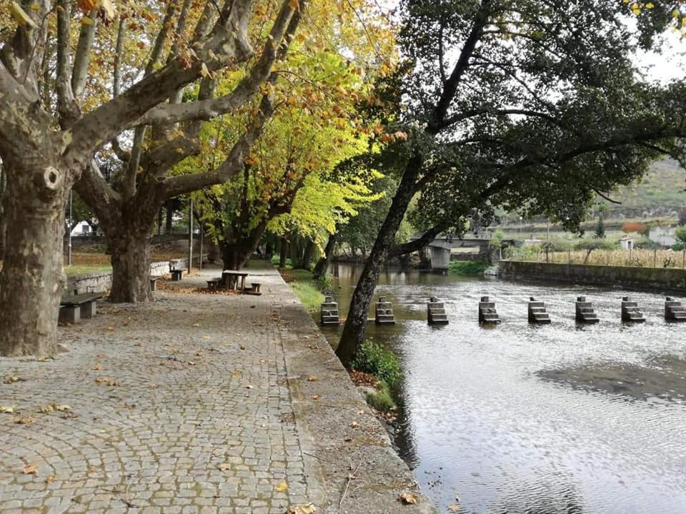 Farm stay Alzira